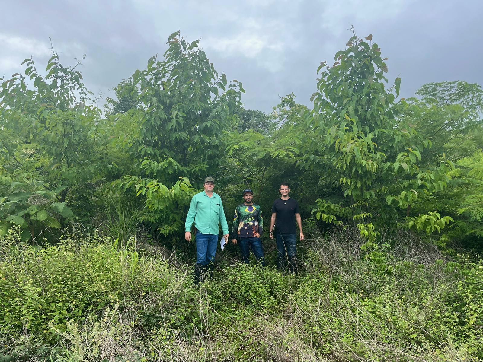 Carbon Bank - Rabobank. image toon de grens tussen natuur en agricultuur in een braziliaans regenwoud. Initiatieven van de carbon bank hebben in dit gebeid geleid tot reforestatie, betaald vanuit carbon credit market. Deze nieuwe business voor boeren is zowel goed voor de natuur als economisch voordelig.
